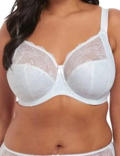Elomi Morgan : Underwired Bra EL4110 - White