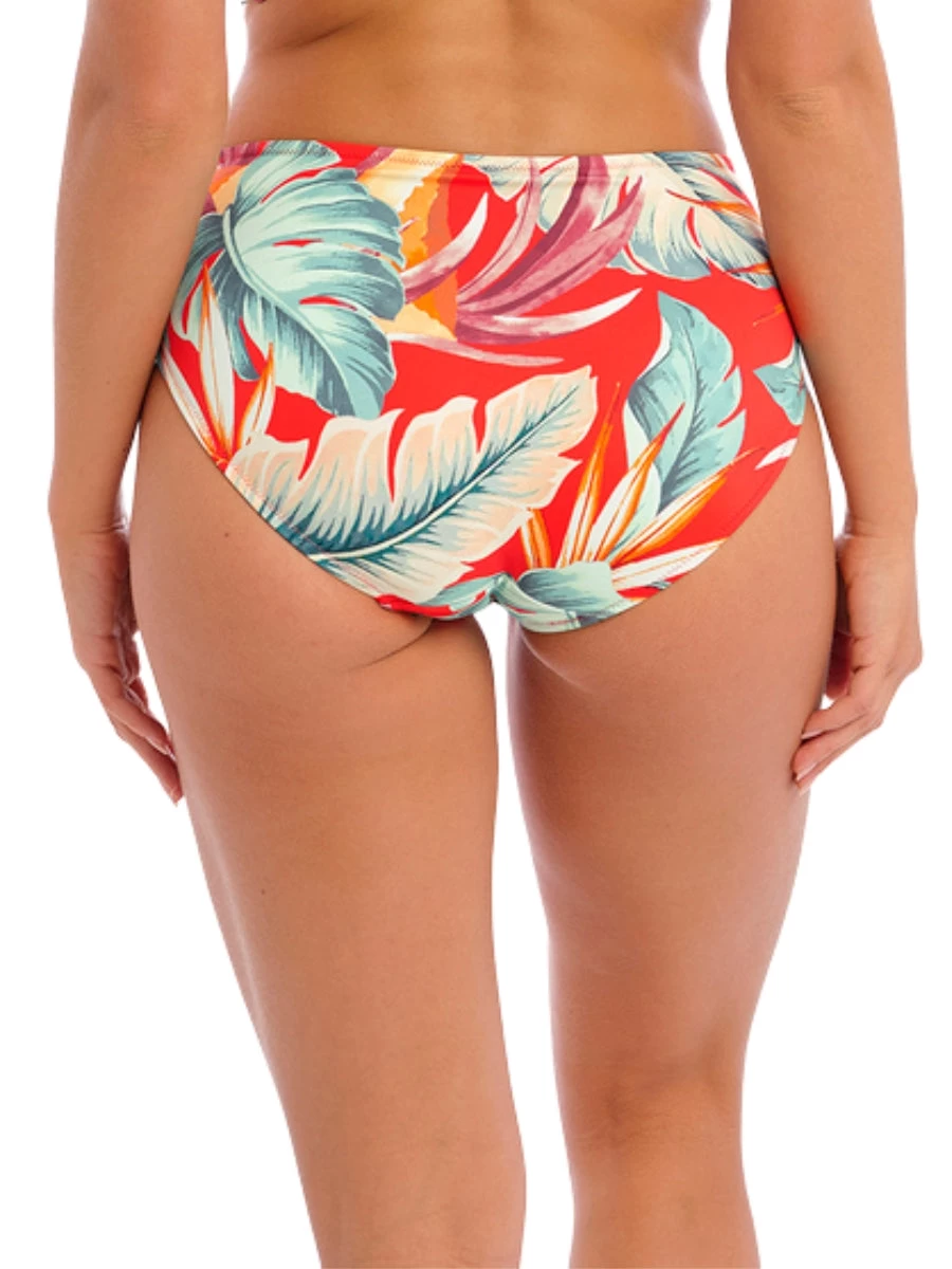 FANTASIE Bamboo Grove Full Bikini Brief 4 FANTASIE Bamboo Grove Full Bikini Brief - Image 4
