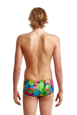 Funky Trunks Boys Sidewinder Cacti High -Lingerie Store fts010b cacti high 02 1